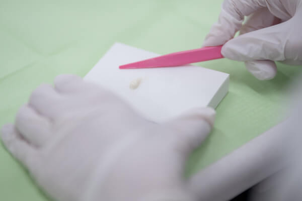 オープンキャンパスの様子