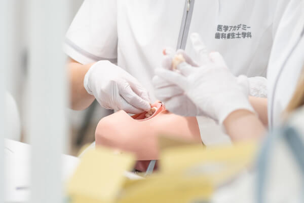 実習の様子
