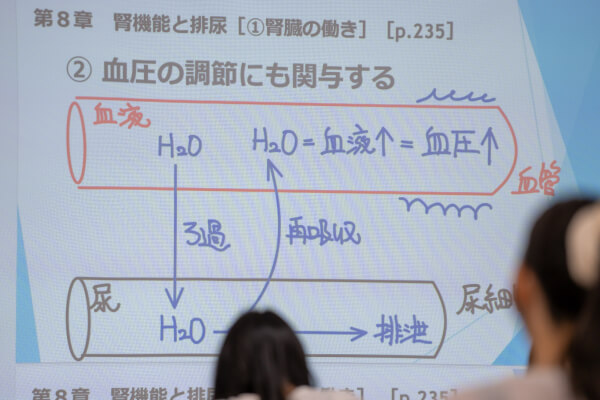 授業の様子