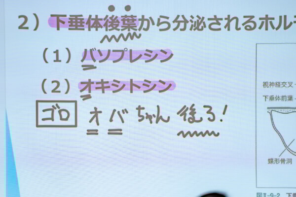 授業の様子