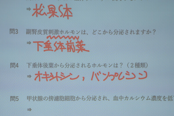 授業の様子
