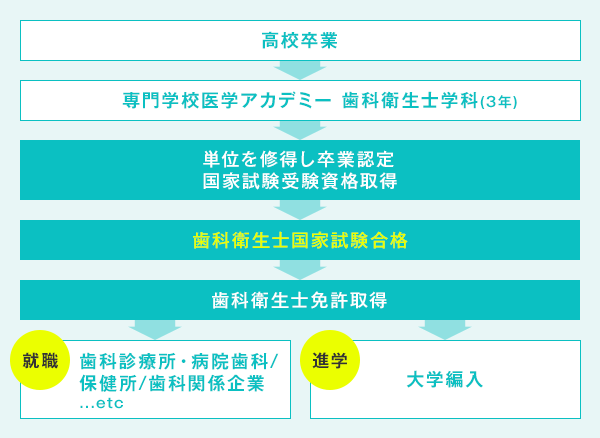 歯科衛生士国家資格取得の流れの図解